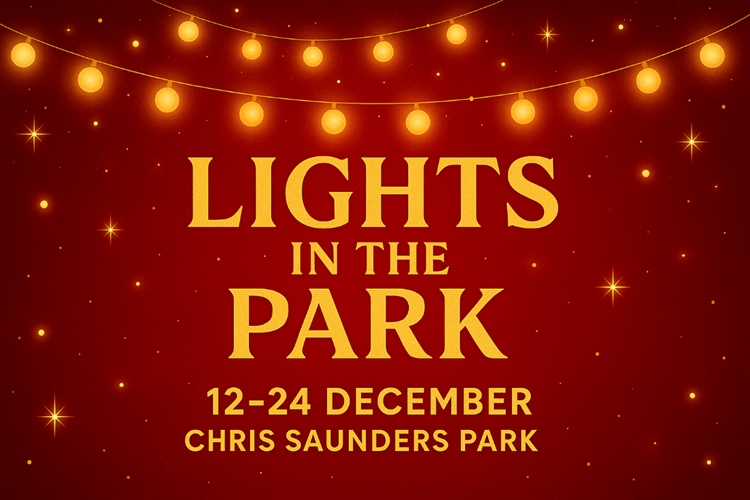 Lights In The Park - Chris Saunders Park
